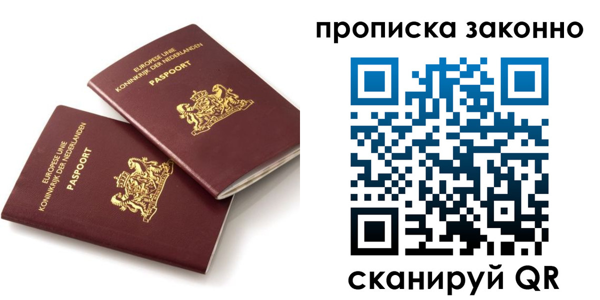 прописка гарантия в Октябрьском